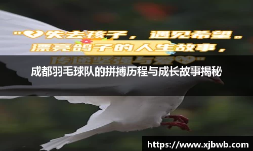 成都羽毛球队的拼搏历程与成长故事揭秘